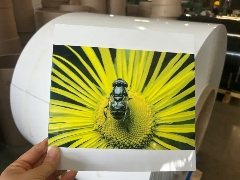 Metal Sheet Sublimation Printing