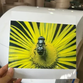 Sublimation Aluminum for Prints