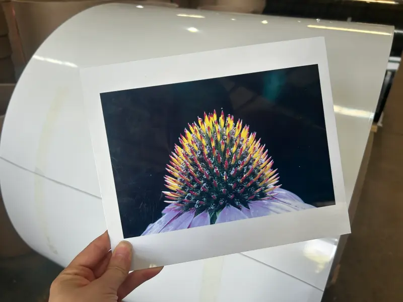 Stain White Sublimation Aluminum
