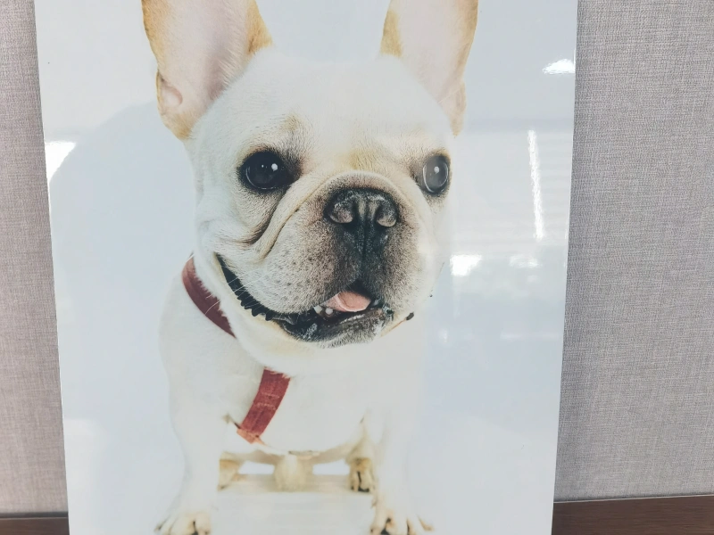 Sublimation Metal Sheet A4 